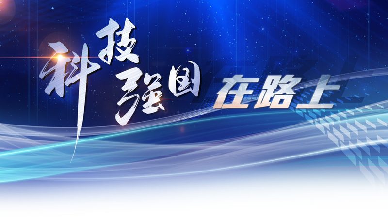 企业数字化人才供应商排名：揭秘数字化转型的核心驱动力